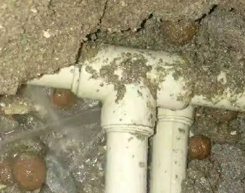 兴城测漏水多少钱