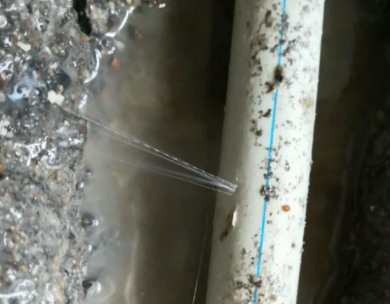 兴城测漏水哪家好