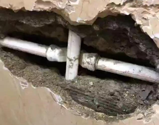 兴城测漏水哪家好