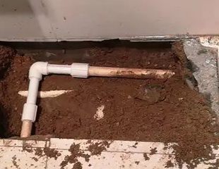 兴城测漏水哪家好