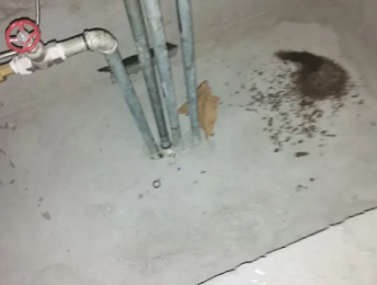 兴城卫生间测漏水价格明细