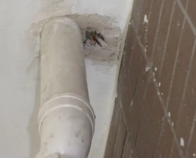 兴城漏水检测哪家好